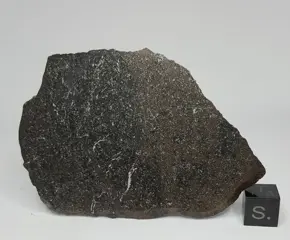 Meteoriet H6 Breccia, NWA 15681. Clast en matrix zijn sterk