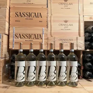 2022 Ceretto, Blangè Arneis - Piëmont Langhe DOC - 6