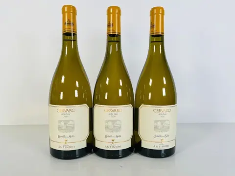 2020 Antinori Castello della Sala - Cervaro della Sala -