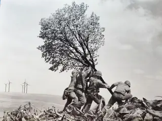 Teejo - Save the World, plant trees