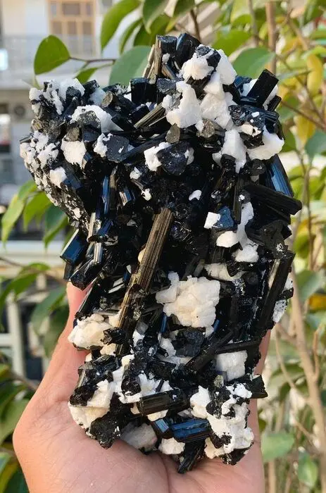 Toermalijnkristallen bos met albite Mineralencollectie -