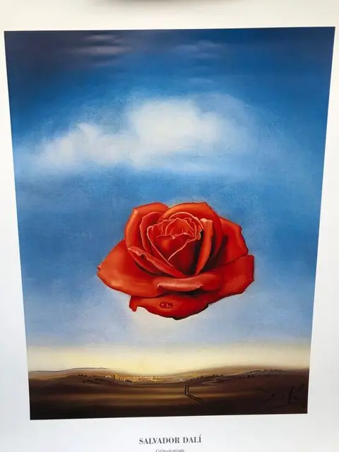 Salvador Dali - Meditative Rose