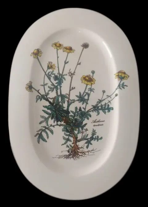 Villeroy &amp; Boch - Dienblad (1) - Porselein - Botanica