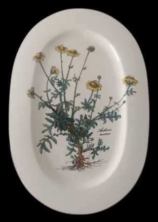 Villeroy &amp; Boch - Dienblad (1) - Porselein - Botanica