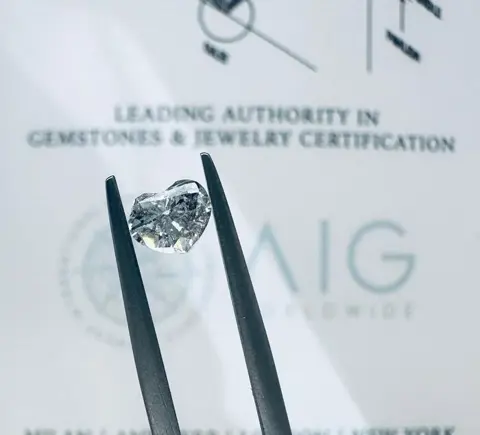 1 pcs Diamant - 0.61 ct - Briljant, Hart - I - P1