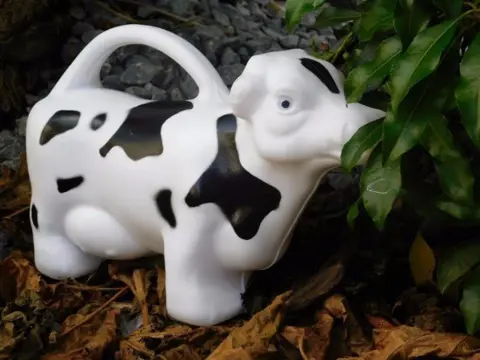 Kindergieter, bloemengieter,kado