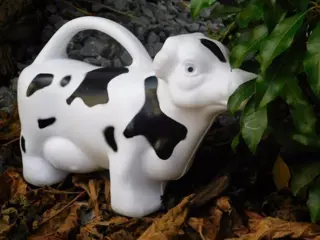 Kindergieter, bloemengieter,kado