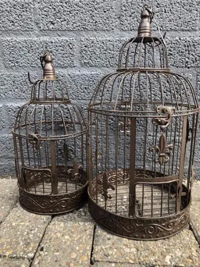 Vogelkooi,vogelkooitjes, kado