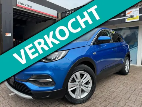 Opel Grandland X 1.2 Turbo Business Executive | Leder | Xenon | Apple/Android | Cruise | Climate | S