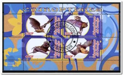 CINDERELLA: Vleermuizen / Bats - Congo - 2010