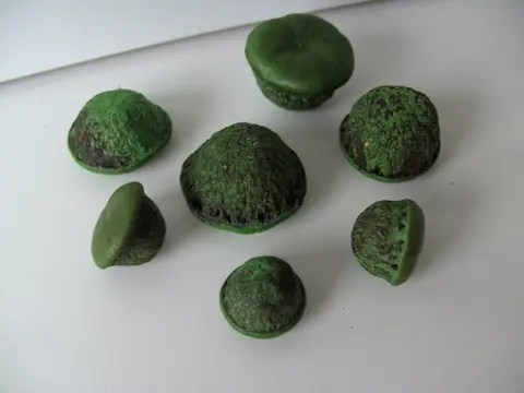 PADDESTOELEN DECORATIEF 16 KG (1200 stuks) Nieuw