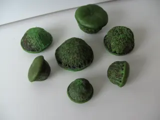 PADDESTOELEN DECORATIEF 16 KG (1200 stuks) Nieuw