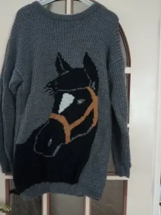 Gebreide Paarden trui