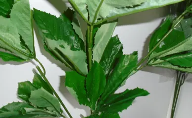 KASTANJEBLAD GROTE TAK 88 CM 2 takken NIEUW