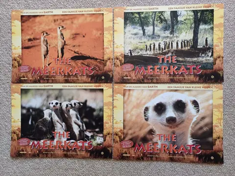 THE MEERKATS lobbycard set.