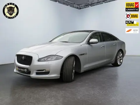 Jaguar XJ 5.0 V8 SC