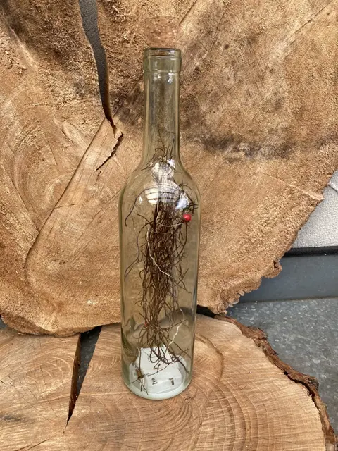 FLES MET TAKJES EN LED LICHTJES NIEUW