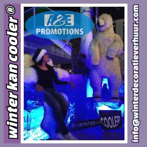 Verhuur ijs iglo ijstroon frozen groningen