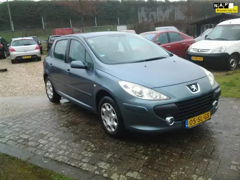Peugeot 307 1.6-16V XS Zeer luxe Airco ECC /Trekhaak/ NL auto Nap km