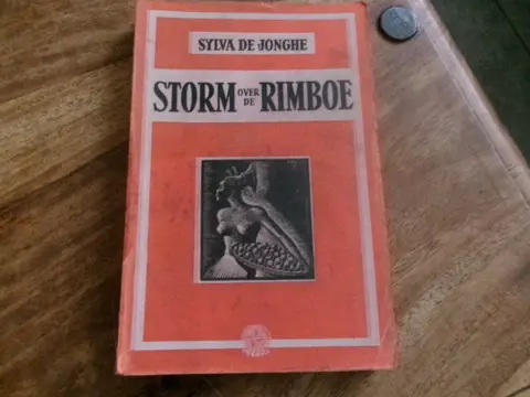 Sylva de Jonghe - Storm over de rimboe (Muaniampongo).