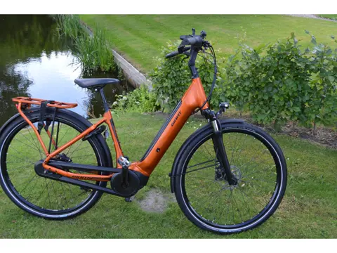 Giant Daily Tour +2 Framemaat 50 cm 500 WH accu