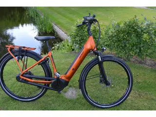 Giant Daily Tour +2 Framemaat 50 cm 500 WH accu