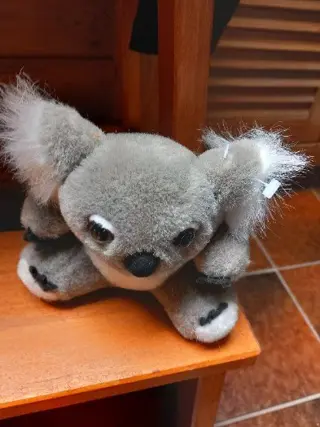 Koala beertje uit Australie
