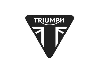 Used ruit Speed triple rr