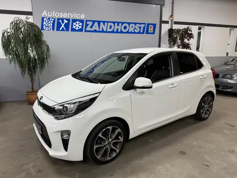 Kia Picanto 1.0 CVVT Design Ed. // Leer // Cruise // Camera // Navi APK TOT 02/2027!!!