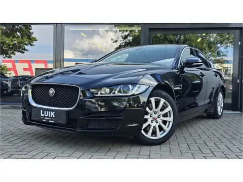 Jaguar XE 2.0 Prestige + XENON + VOLLEER + NAVIGATIE