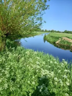 Man zoekt lekkere oma