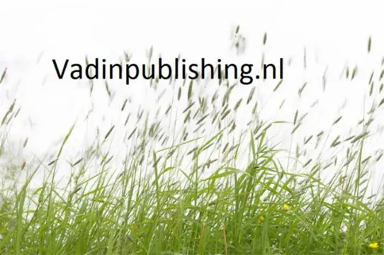 Wij helpen u om uw website aantrekkelijker te maken