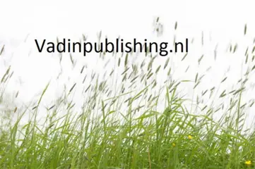 Wij helpen u om uw website aantrekkelijker te maken