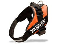 Het Nieuwe Julius K9 IDC Powertuig geschikt voor tekstlabels