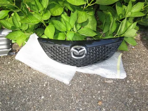 Grill voor Mazda3 2x