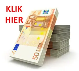 Grote Verdiensten - Simpel Promotiewerk (via Internet)