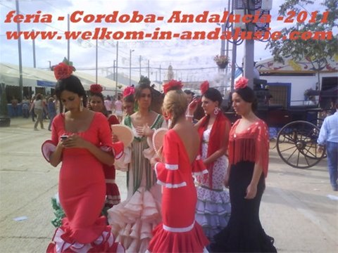 HARTJE ANDALUSIE, SPANJE SEVILLA, GRANADA, CORDOBA