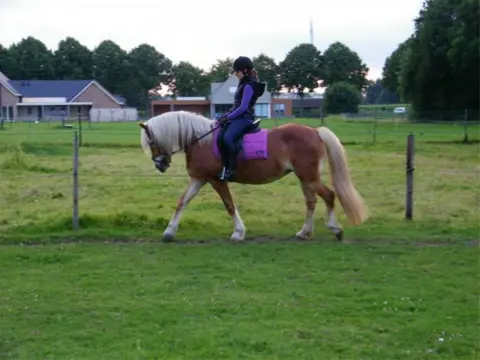 Aangeboden: bijrijdster