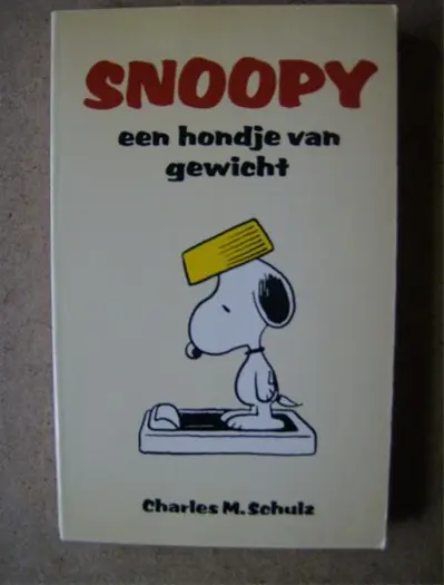 6 snoopy pocket