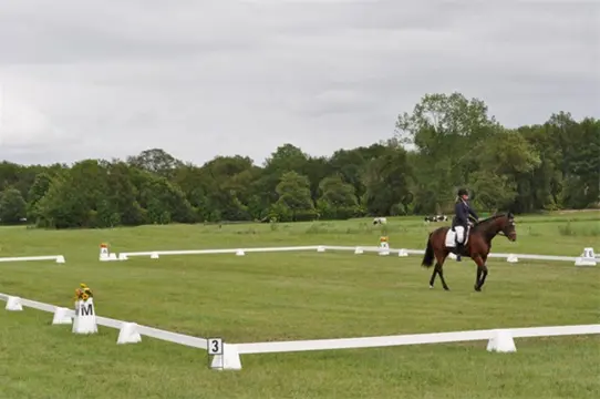 Dressuurringen, dressuurpiste