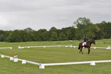 Dressuurringen, dressuurpiste