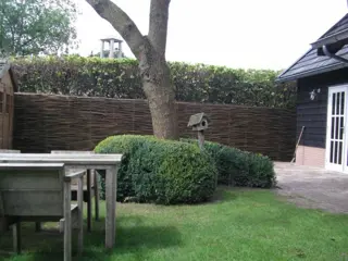 Wilgenschutting wilgenteen wilgentenenscherm