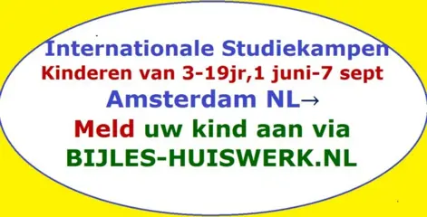 ZOMER STUDIE- en ACTIVITEITEN KAMPEN AMSTERDAM