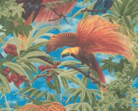 Paradijsvogel behang 6954-13