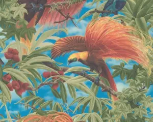 Paradijsvogel behang 6954-13