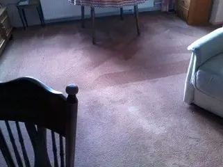 Vloerbedekking reinigen, Zuid-Holland.