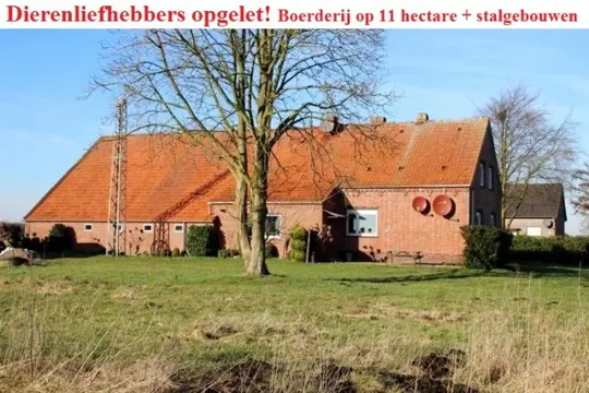 Boerderij op 11 hectare, meerdere (stal-)gebouwen