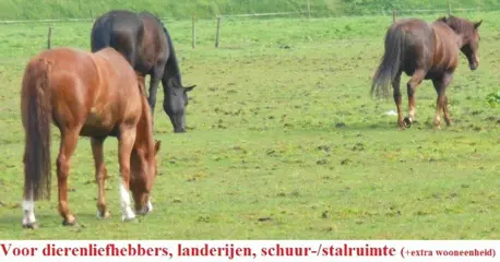 GRENSOBJECT, paarden- dierenliefhebbers, stallen, landerijen