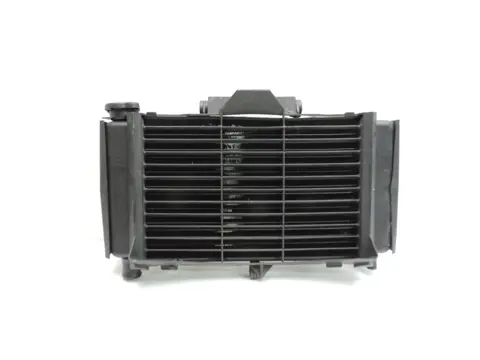 RADIATEUR Yamaha FZ6 2004 - 2007