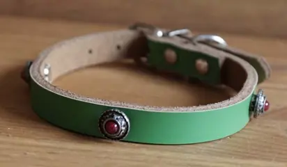 Leren hondenhalsband " Concho met rode steen " Groen